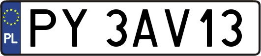 PY3AV13