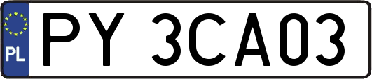 PY3CA03