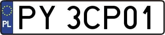 PY3CP01