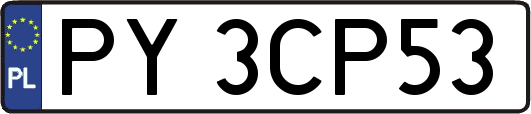PY3CP53