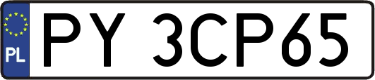 PY3CP65