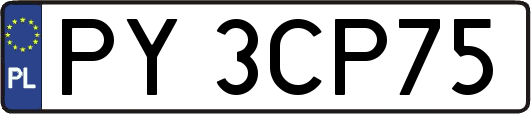 PY3CP75