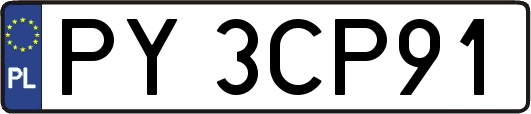 PY3CP91