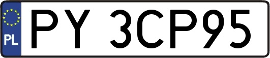 PY3CP95