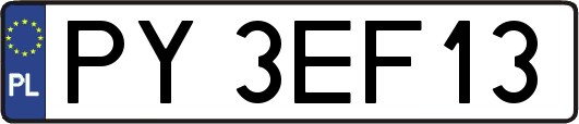 PY3EF13