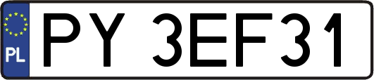PY3EF31