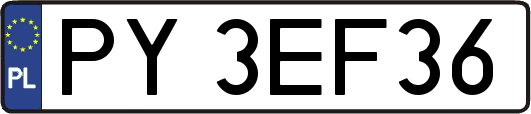 PY3EF36