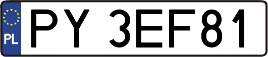 PY3EF81
