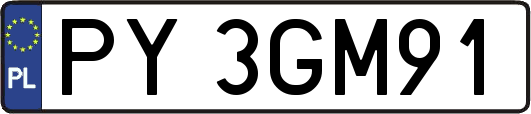 PY3GM91