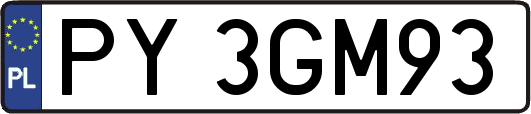 PY3GM93
