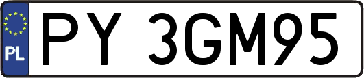 PY3GM95