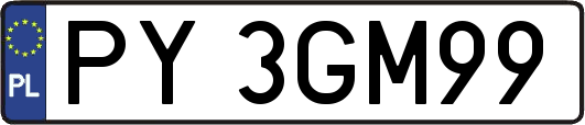 PY3GM99