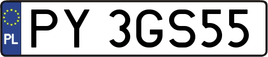 PY3GS55