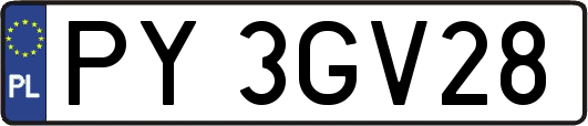 PY3GV28