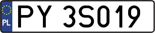 PY3S019