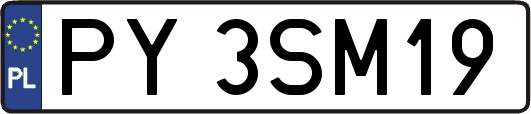PY3SM19