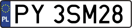 PY3SM28