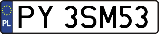 PY3SM53