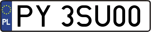 PY3SU00