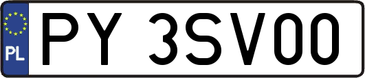 PY3SV00