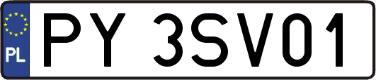 PY3SV01