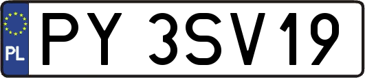 PY3SV19