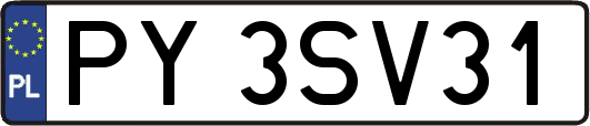 PY3SV31