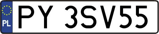 PY3SV55