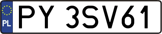PY3SV61