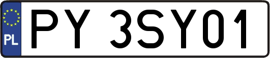 PY3SY01