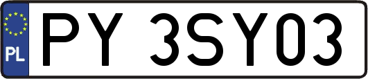 PY3SY03