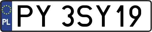 PY3SY19