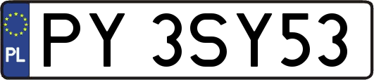 PY3SY53