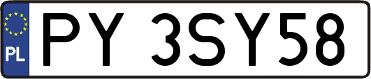 PY3SY58