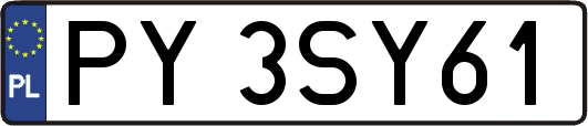 PY3SY61