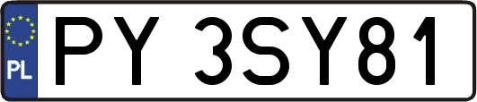 PY3SY81