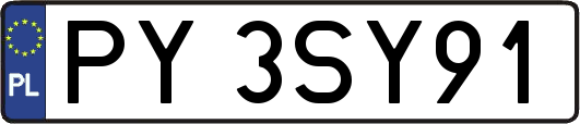 PY3SY91