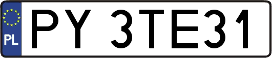 PY3TE31