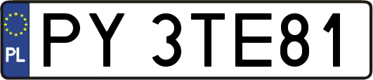 PY3TE81