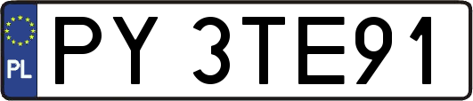 PY3TE91