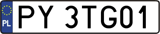 PY3TG01