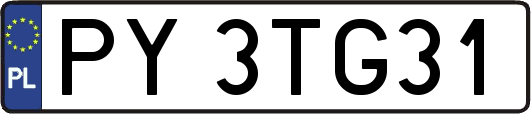 PY3TG31