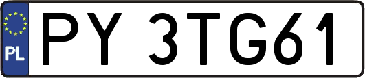PY3TG61