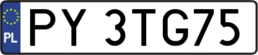 PY3TG75