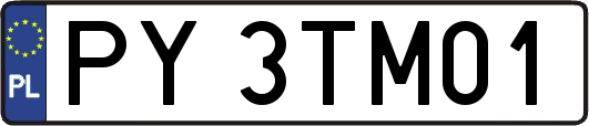 PY3TM01