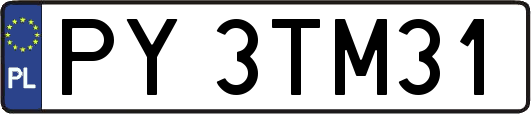 PY3TM31