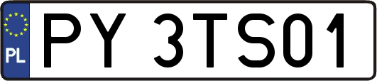 PY3TS01