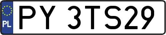 PY3TS29