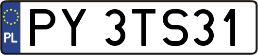 PY3TS31