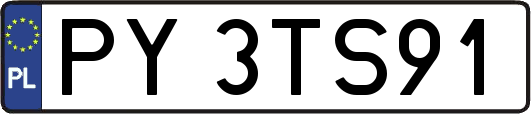 PY3TS91
